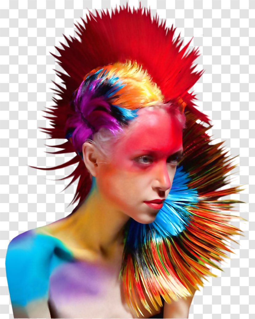 Hair Coloring Hairstyle Dye - Feather Transparent PNG