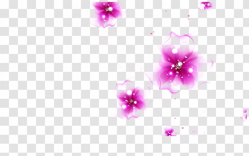 Software Wallpaper - Heart - Purple Secret Transparent PNG