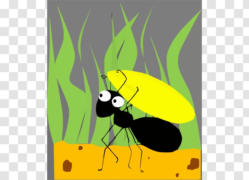 Ant Clip Art - Beetle - Grasshopper Cliparts Transparent PNG