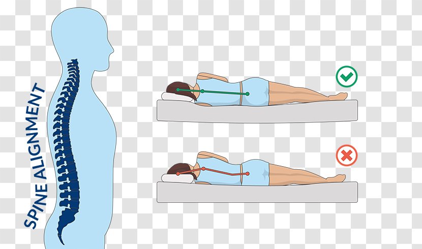 Mattress Pads Human Back Sleep Tempur-Pedic - Frame - Pain Transparent PNG