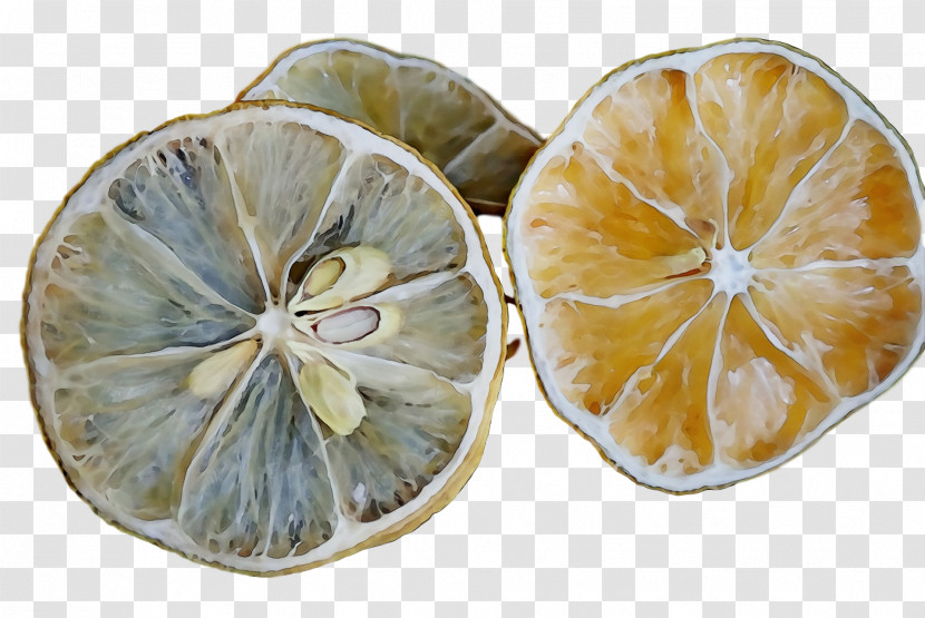 Vegetarian Cuisine Citrus Ingredient Commodity Vegetarianism Transparent PNG
