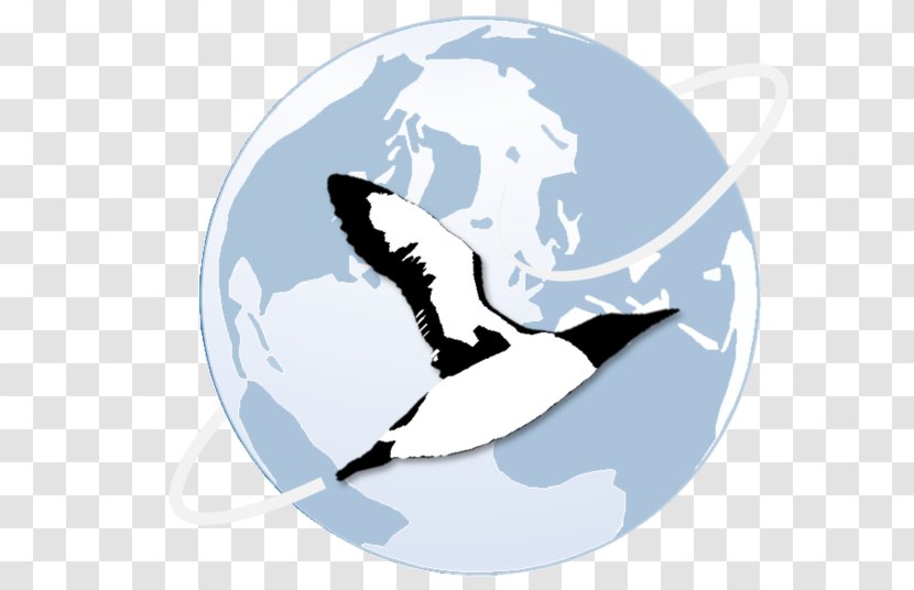 Marine Mammal Seabird Ocean Clip Art - Logo - Phalacrocorax Transparent PNG