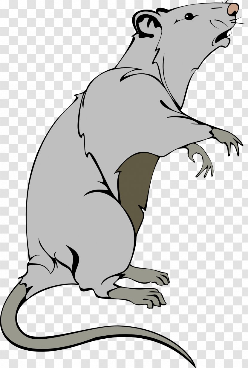 Rat Clip Art - Fauna - Mouse Animal Transparent PNG