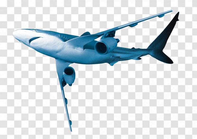 Great White Shark Airplane - Dolphin Aircraft Transparent PNG