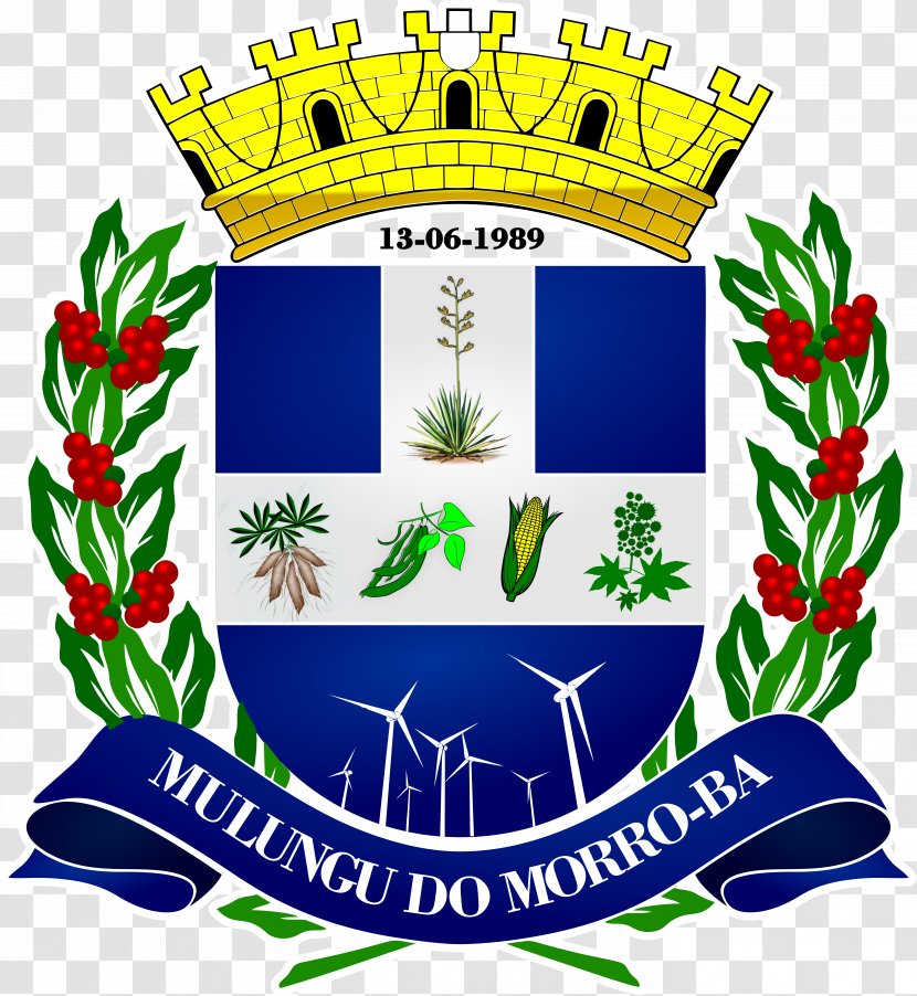 Municipal Prefecture Edital Civil Service Entrance Examination Statute Mulungu Do Morro - Legislature - Bantildeera Background Transparent PNG