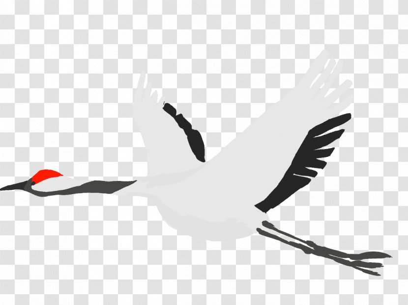 Crane White Stork Bird TSURU Transparent PNG