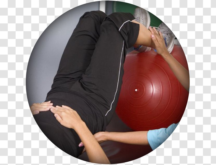 Medicine Balls Pilates Exercise Physical Therapy - Frame - Occupational Physicians Transparent PNG