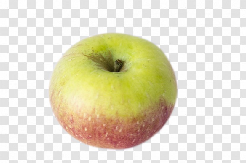 Granny Smith McIntosh Laboratory - Fruit - Northern Spy Transparent PNG