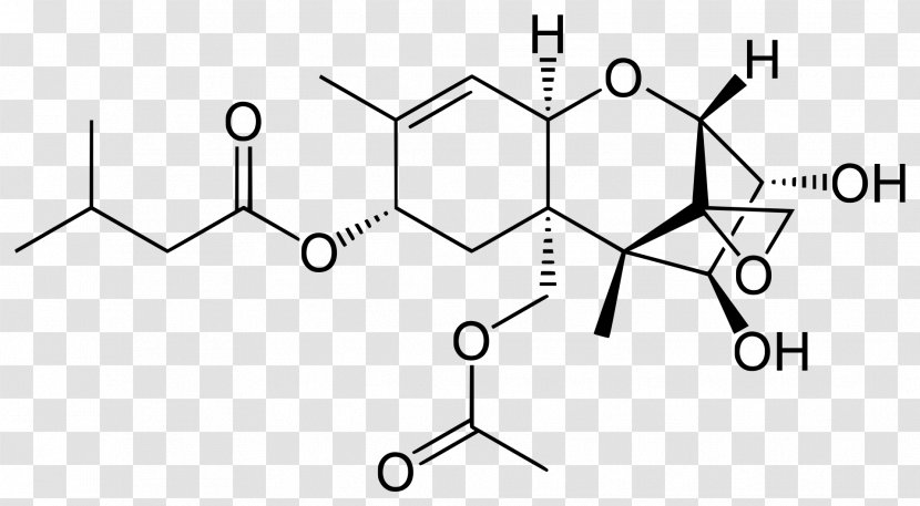 Brønsted–Lowry Acid–base Theory Guanosine Triphosphate Ethanol Acetic Acid - Ethyl Acetate Transparent PNG