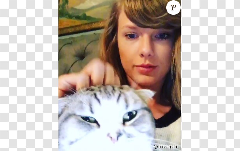 Taylor Swift Whiskers Cat Kitten Eyelash - Frame Transparent PNG