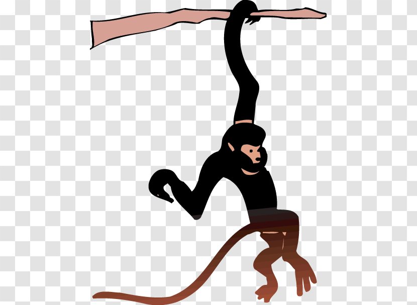 Ape Spider Monkey Clip Art Transparent PNG