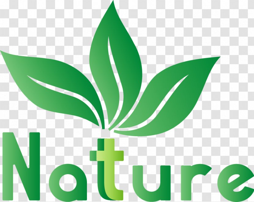 Logo Dota 2 Nature - Grass Transparent PNG