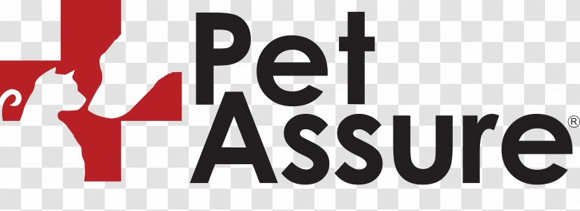 Cat Dog Pet Assure Veterinarian Insurance - Grooming Transparent PNG