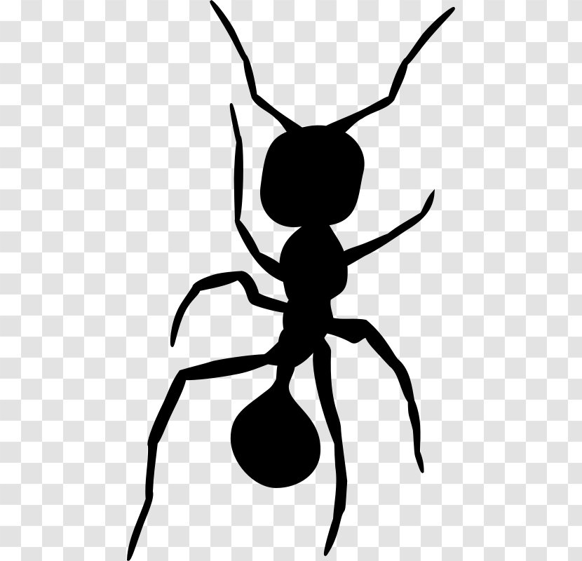 Ant Insect Silhouette Clip Art - Drawing Transparent PNG