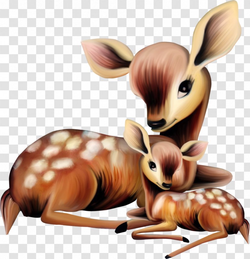 White-tailed Deer Clip Art Mother Illustration - Rabbit Transparent PNG