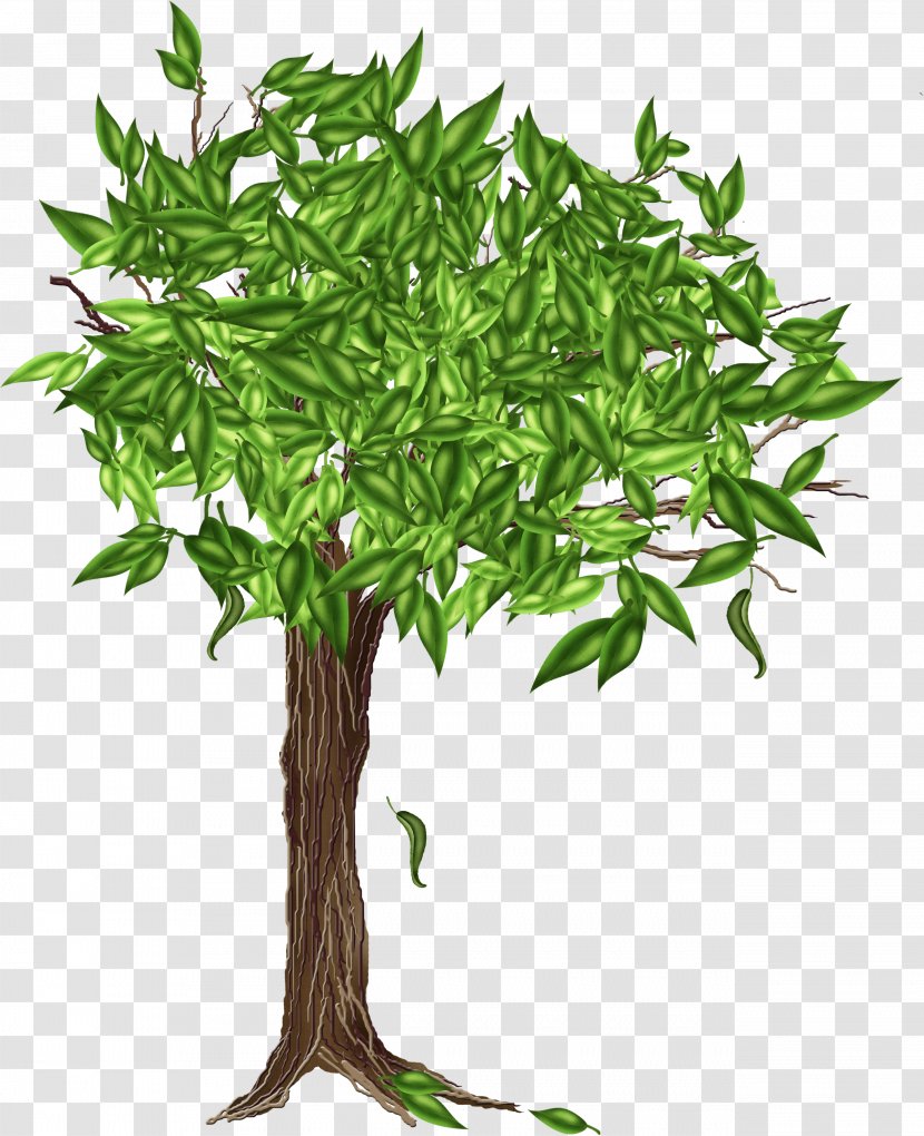 Tree Drawing Clip Art Transparent PNG