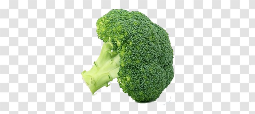 Leaf Vegetable Food Broccoli Winter - Whole Transparent PNG