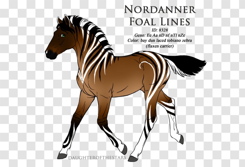 Mustang Mane Foal Stallion Mare - Wildlife Transparent PNG