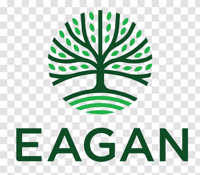 Logo Organization Eagan Wave Soccer Rebranding City - South Minnesota Cities Transparent PNG