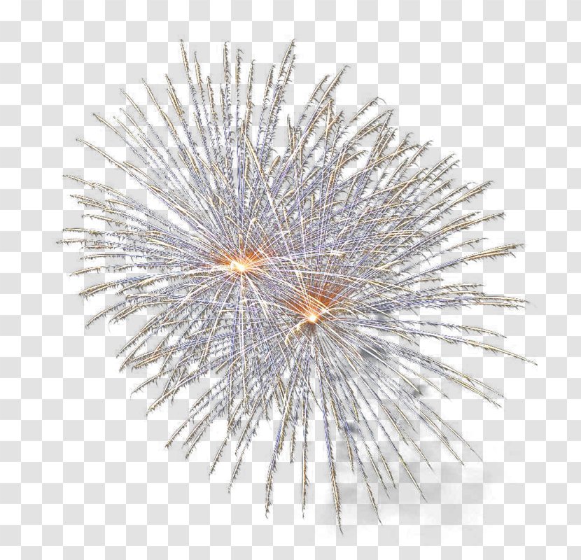 Adobe Fireworks - Paper Firework Transparent PNG