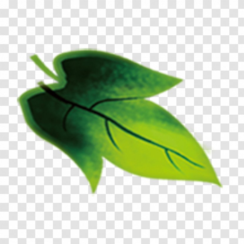 Leaf Green Euclidean Vector - Banana - Leaves Transparent PNG
