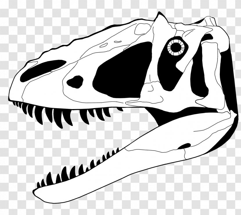 Tyrannosaurus Velociraptor Chasmosaurus Mosasaurus Giganotosaurus - Headgear - Dinosaur Skeleton Cliparts Transparent PNG