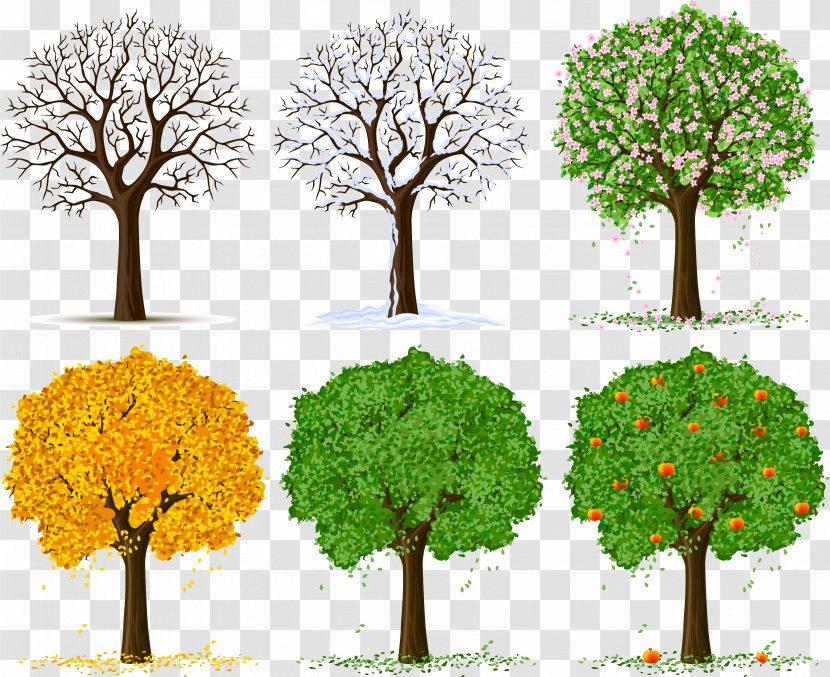 Tree Silhouette Clip Art - Of Life - Spring Transparent PNG