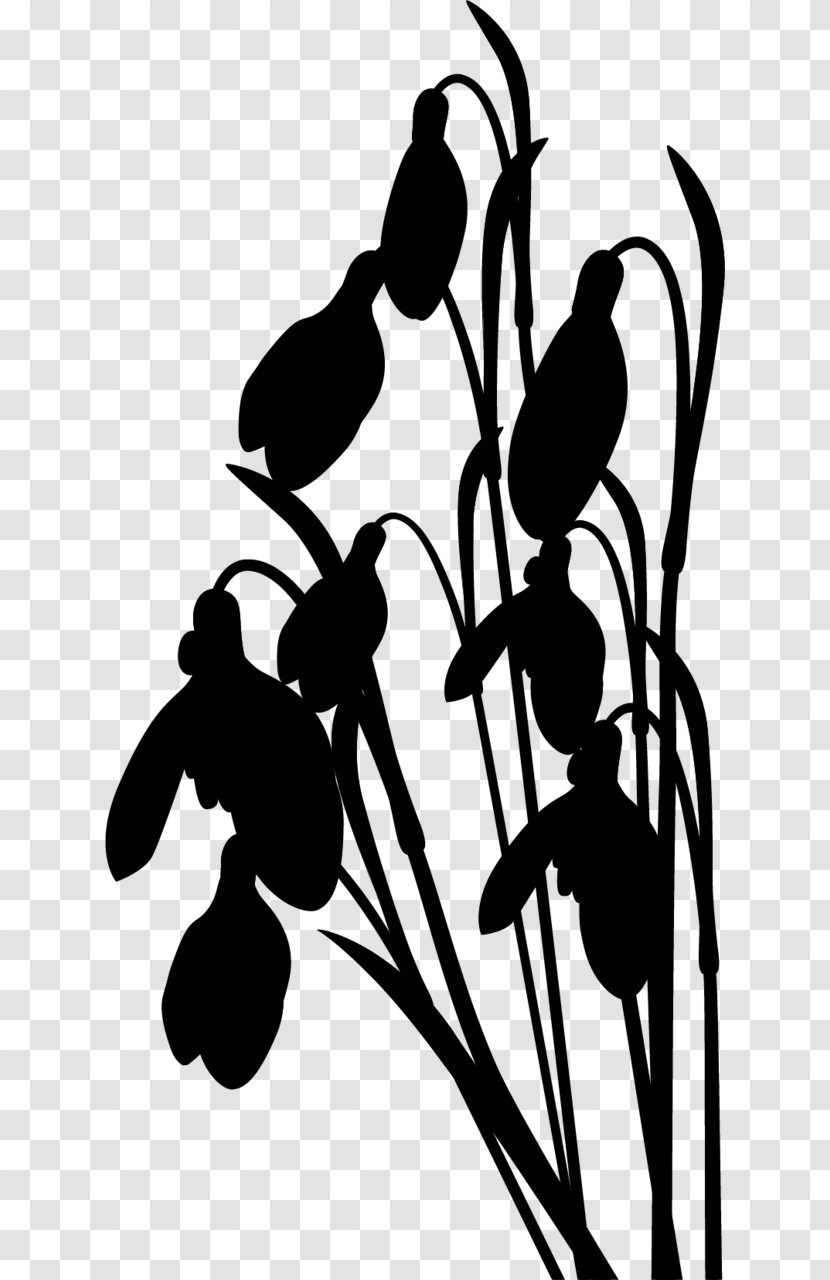 Clip Art Visual Arts Silhouette Flower - Tulip - Blackandwhite Transparent PNG