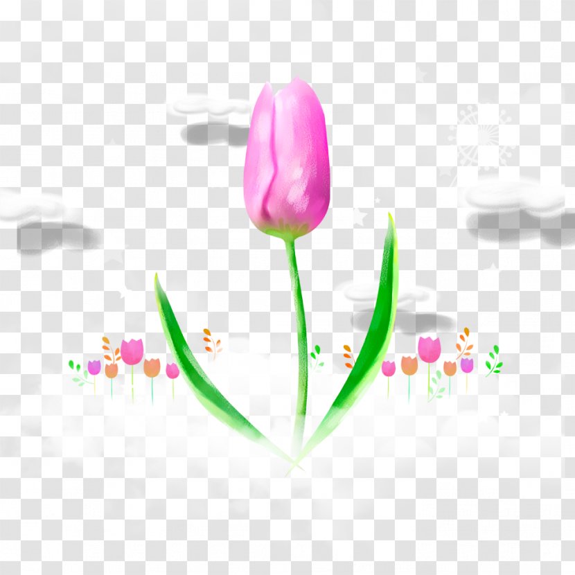 Tulip Flower - Magenta - Hand-painted Transparent PNG