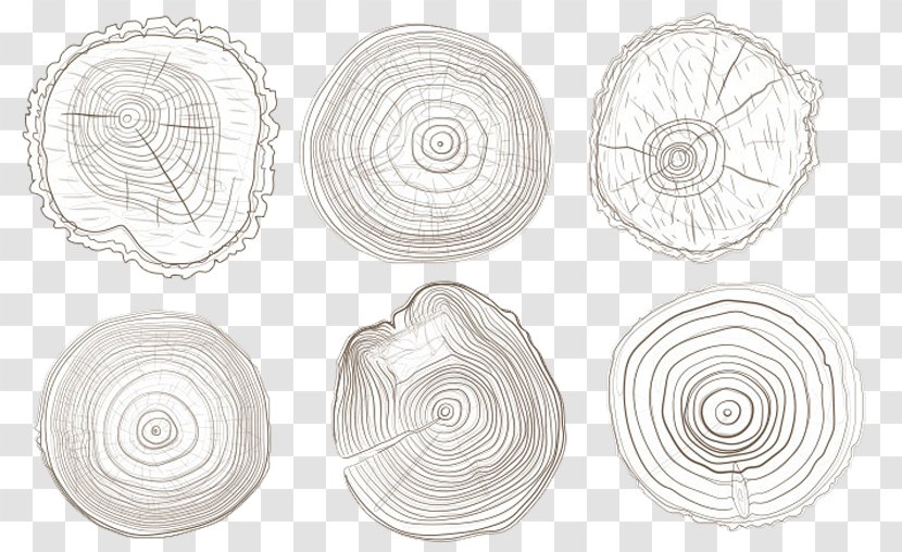 White Tableware Pattern - Black - Tree Rings Transparent PNG