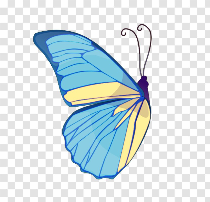 Monarch Butterfly Drawing Clip Art - Arthropod Transparent PNG