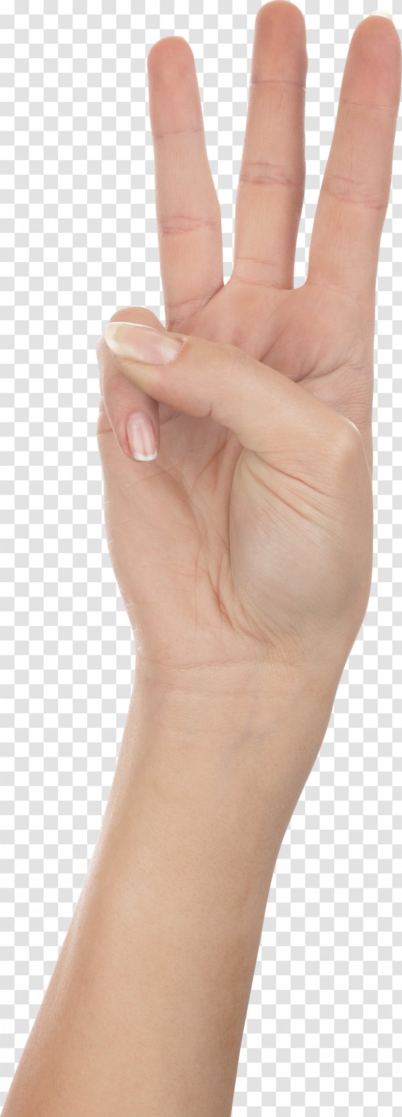 Hand Finger - Upper Limb - Three Hand, Hands , Image Free Transparent PNG