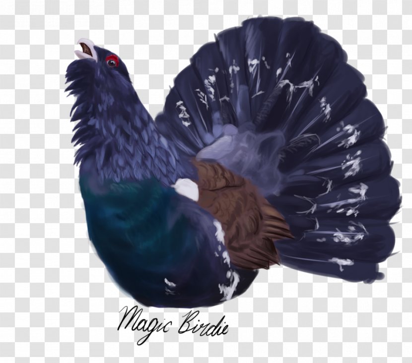 Bird Western Capercaillie Feather Chicken Drawing - El Urogallo Transparent PNG