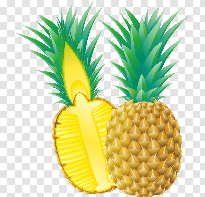 Pineapple Animation - Plant - Vector Material Transparent PNG