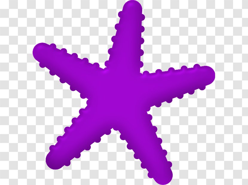 Starfish - Pink - Magenta Transparent PNG