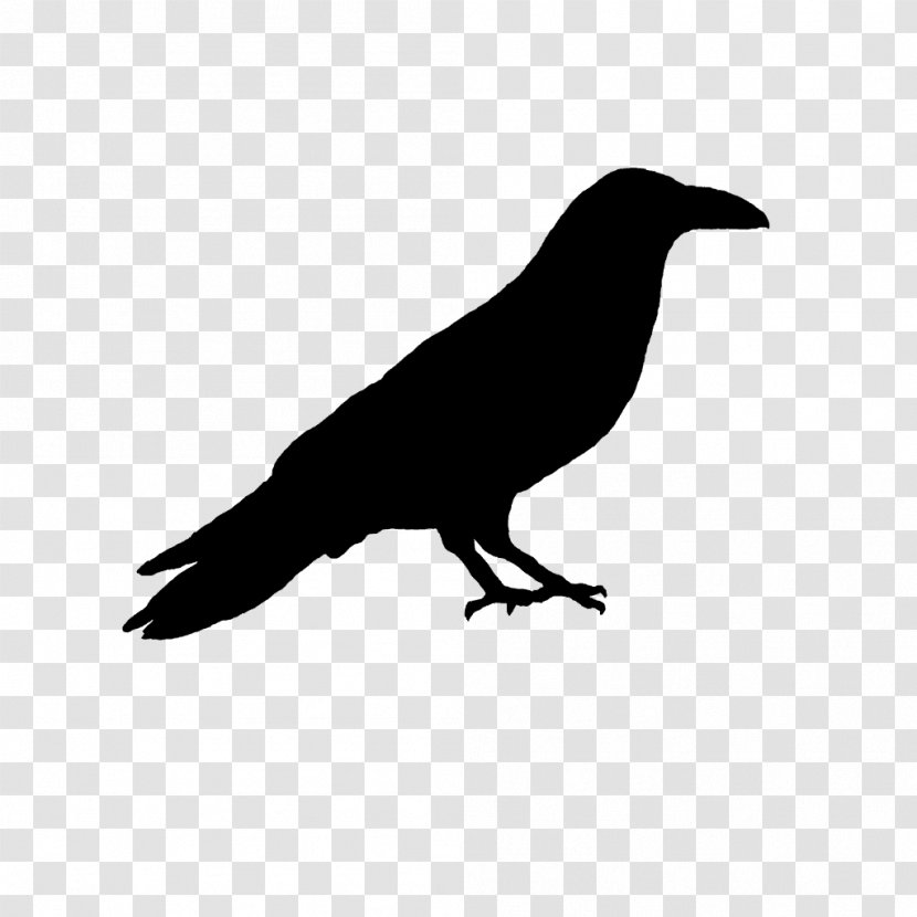 American Crow Rook New Caledonian Common Raven - Wing - Like Bird Transparent PNG