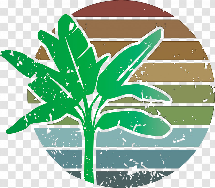 Summer Palm Transparent PNG