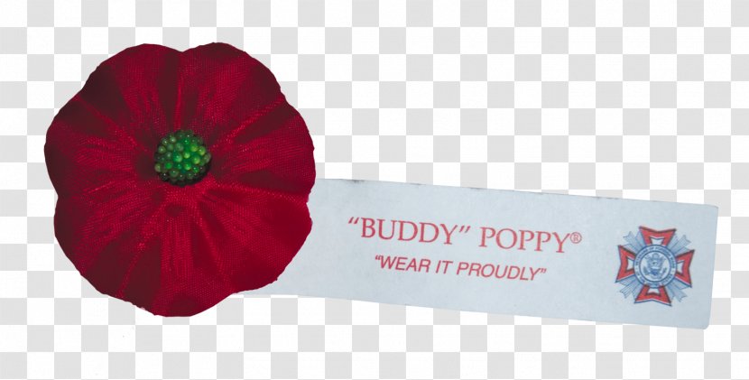 Poppy Veterans Of Foreign Wars Organization Flower - Spring - National Day Scatters Flowers Transparent PNG