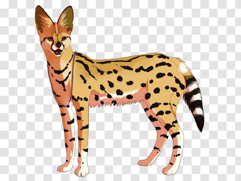 Wildcat Cheetah Cougar Mammal - Wild Cat Transparent PNG