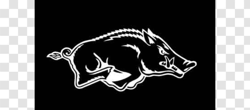 University Of Arkansas Razorbacks Football War Memorial Stadium Southeastern Conference Feral Pig - Horse Like Mammal - Razorback Cliparts Transparent PNG