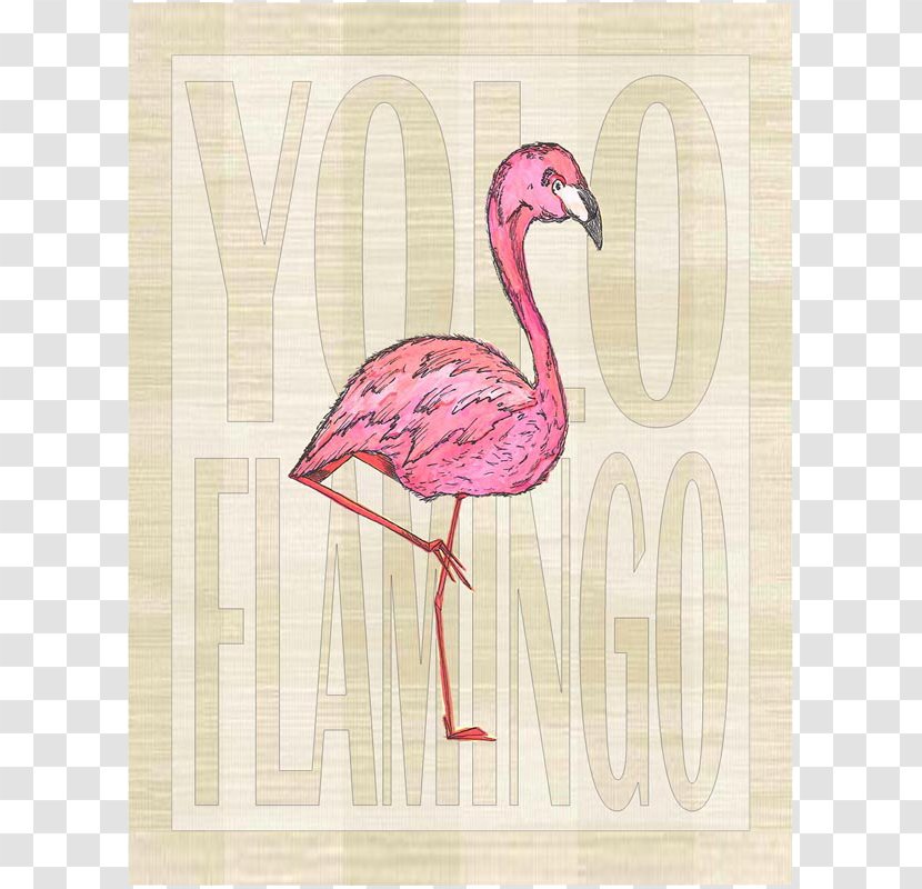 Fauna Pink M Beak - Tropical Flamingo Transparent PNG