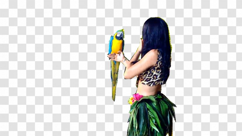 Roar One Of The Boys Teenage Dream Hot N Cold - Macaw Transparent PNG