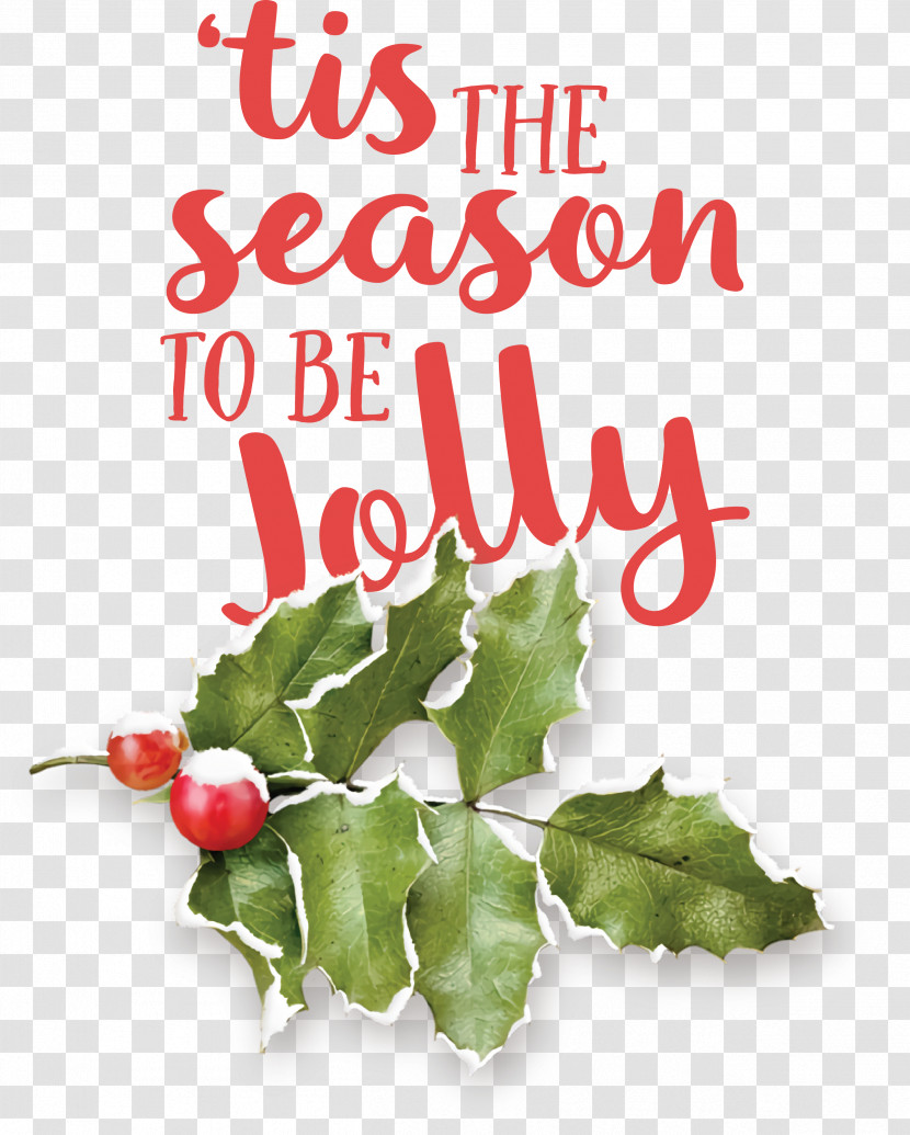 Holly Transparent PNG