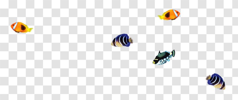 Aquarium Terrarium Online Shopping Wallpaper - Internet - Cartoon Cute Little Goldfish Transparent PNG