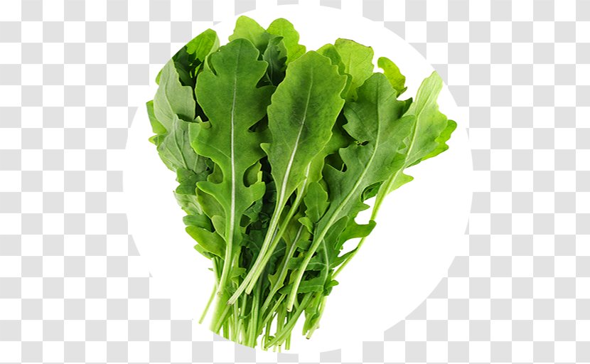 Organic Food Eruca Sativa Vegetable Arugula Perennial Wall-rocket - Chard - Lettuce Transparent PNG