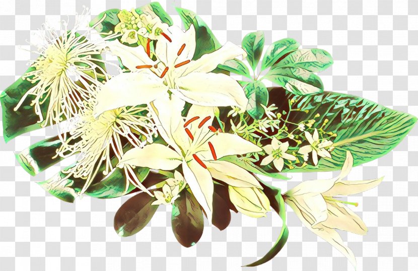 Cartoon Flower - Leaf - Perennial Plant Passion Family Transparent PNG