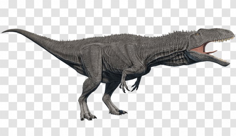 Tyrannosaurus Primal Carnage: Extinction Acrocanthosaurus Dinosaur King - Carnage Transparent PNG