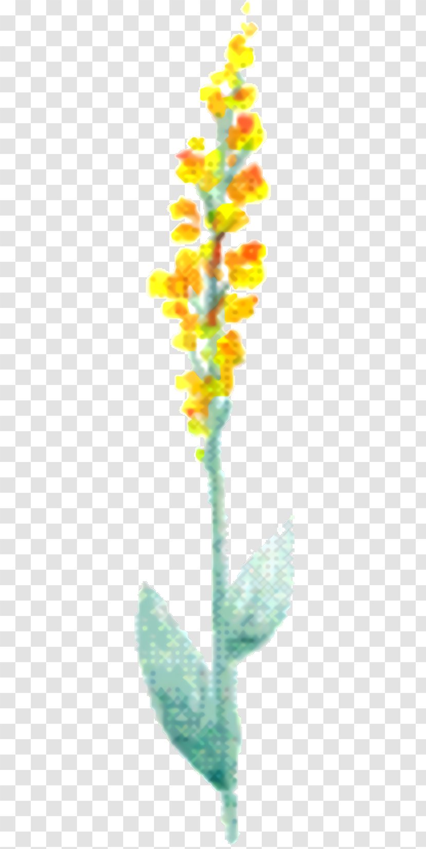 Flowers Background - Flower - Plant Transparent PNG