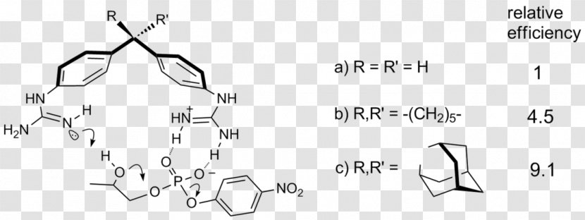 /m/02csf Paper Chemistry Angle Drawing - Tree - Cartoon Transparent PNG