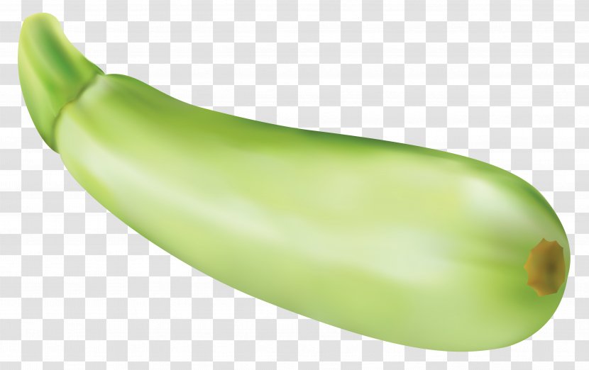 Zucchini Vegetable - Pumpkin - Vector Clipart Image Transparent PNG